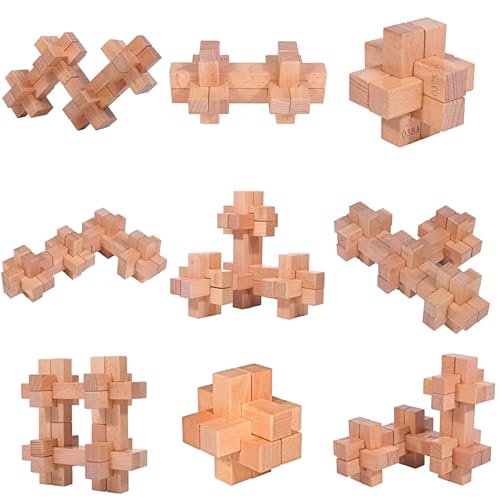 20pcs DIY Wooden Brain Teaser Puzzle Set, 9 Types, 94 Methods