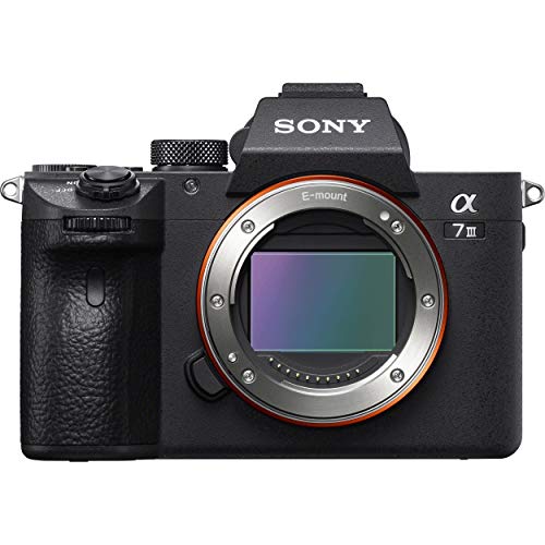 Sony a7 III Full-Frame Mirrorless Camera - 24.2MP, Body Only