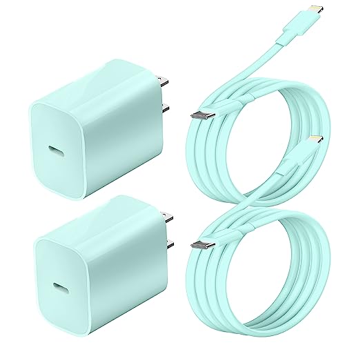 Xpxwaiyds iPhone Fast Charger, 2-Pack with 6FT Cable, Blue