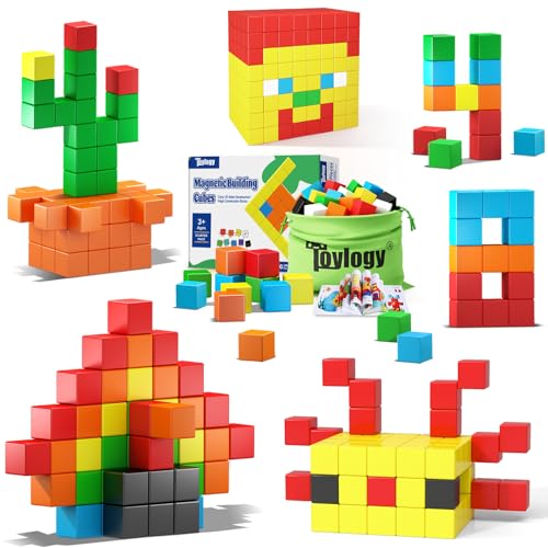 Toylogy Magnetic Building Blocks Set - 48 Pieces