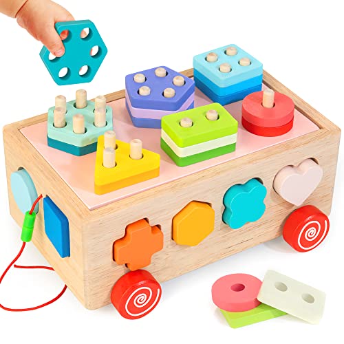 Shape Sorter Wooden Learning Toys for Toddlers