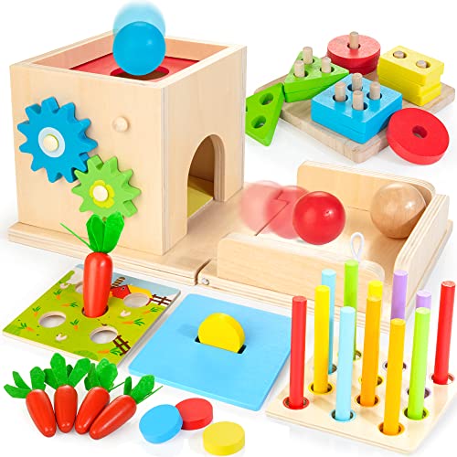 Montessori Toys 8-in-1 Wooden Play Kit for 1+ Year Olds